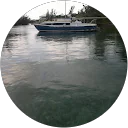 Vlad Besson profile picture